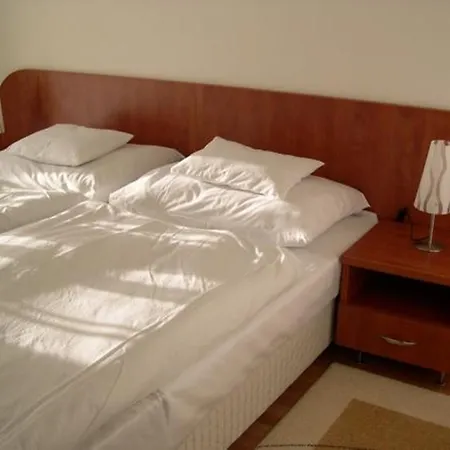 Pontis Hotel 3*